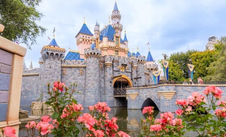 featured_attraction.name