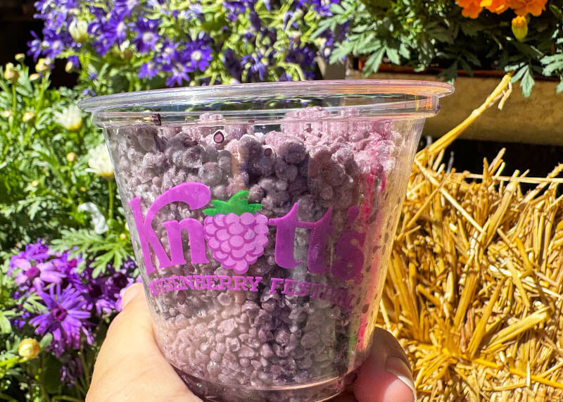 Your Sweet and Savory Guide to the Boysenberry Festival at Knott's Berry Farm -Boysenberry Dippin Dots