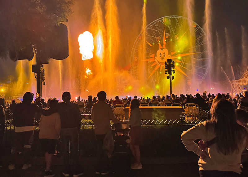 Best Ways and Places to View World of Color Happiness! at Disneyland - Viewing at the back