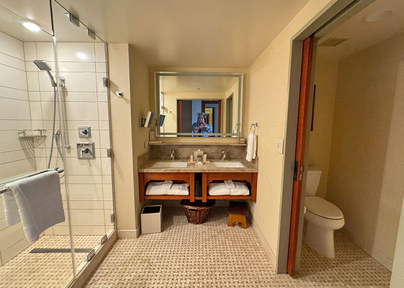 The Frog Family's Guide to Disney’s Grand Californian Hotel & Spa - Bathroom in King room