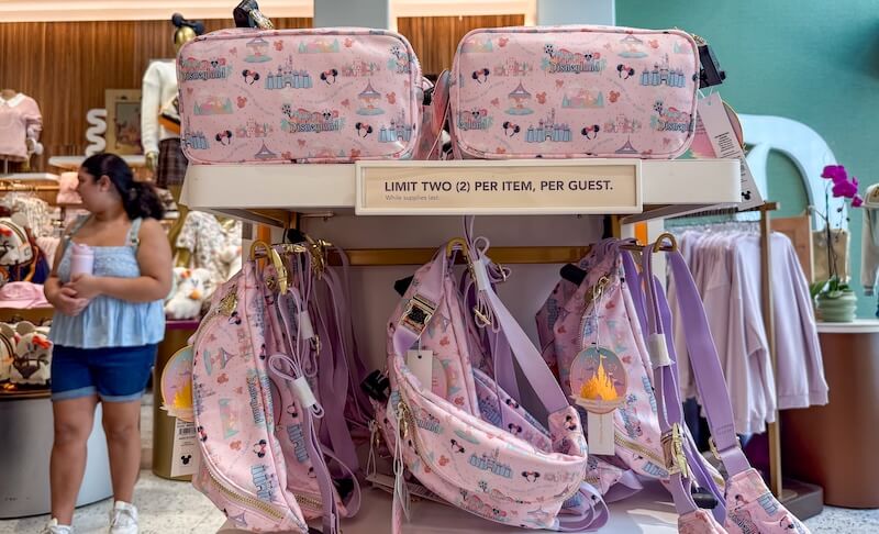 The Frog Family's Wish List: New Disneyland Merchandise in August 2025 - Stoney Clover pouches and fanny packs