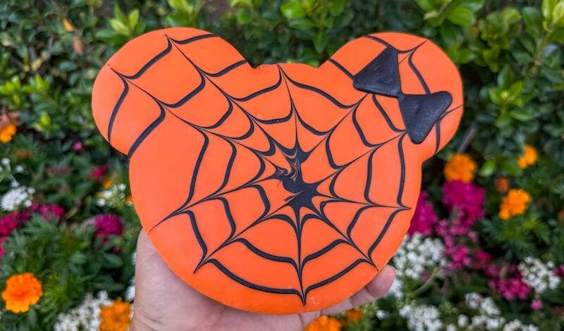 Your Guide to Ghoulishly Good Disneyland Halloween Food - Spiderweb cookie