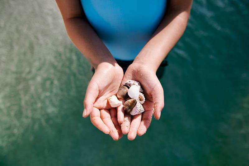 Disney Cruise Hawaii - person showing a handful of seashells over blue water