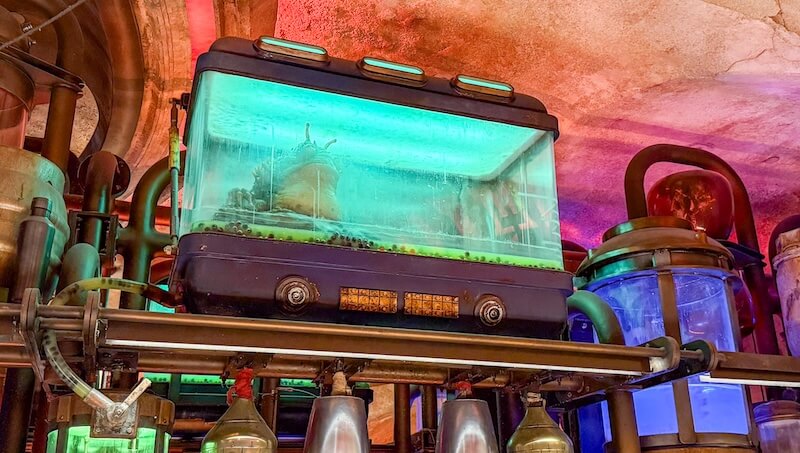 Punch it Chewie! We're Headed to Oga’s Cantina at Disneyland - Alien enclosure over drink taps