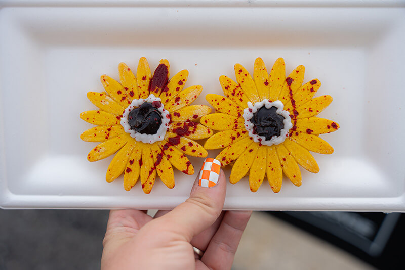 Halloween Horror Nights Orlando Food - Abracadabra Sunflower Glasses