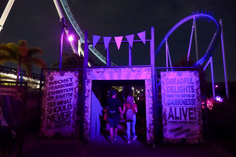 SeaWorld Orlando Howl-O-Scream - Echoes in the Glass