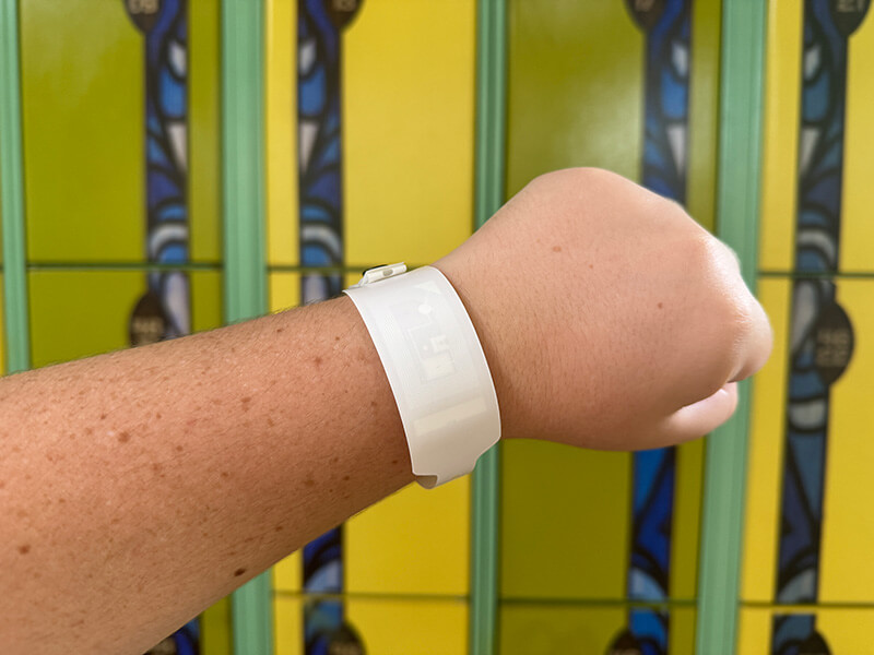 Volcano Bay - Locker Wristband