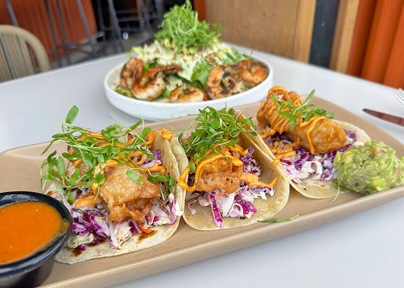 The Downtown Disney Restaurants and What's Opening Soon! - Fish tacos and Caesar salad with shrimp