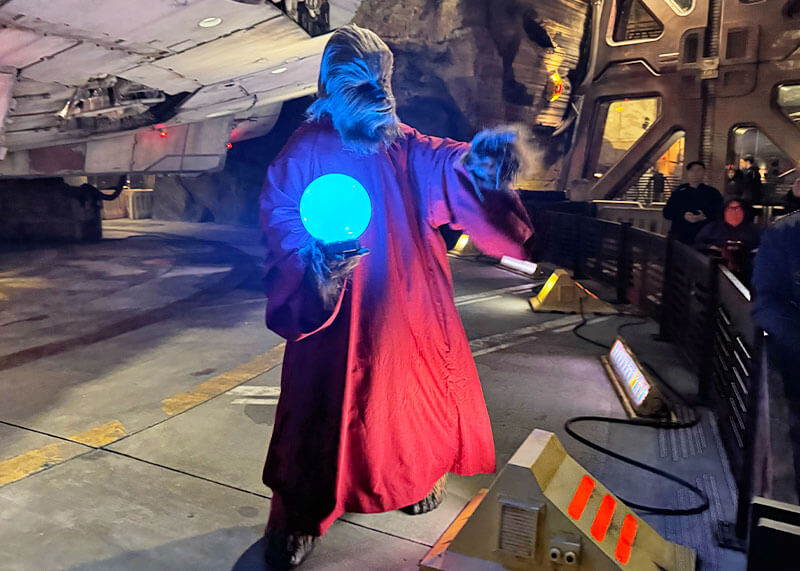 Guide to the ~Hoppiest~ Holidays at Disneyland - Chewie in Life Day robe