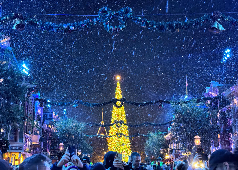 Guide to the ~Hoppiest~ Holidays at Disneyland 2025 - Snowfall with tree