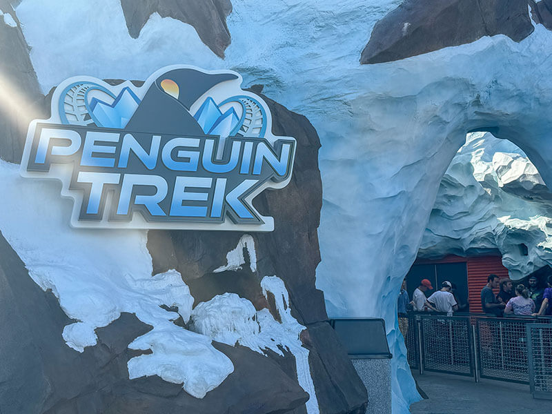 SeaWorld Quick Queue - Penguin Trek