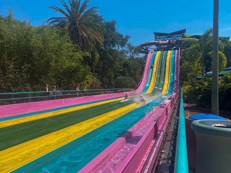SeaWorld Quick Queue -Taumata Racer