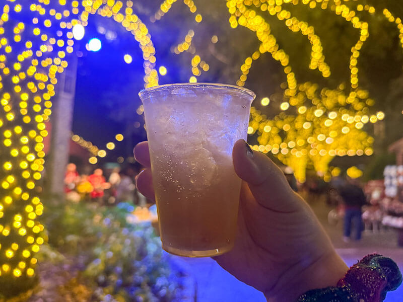 Busch Gardens Christmas Town - Christmas Punch