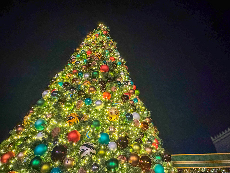 Busch Gardens Christmas Town - Christmas Tree