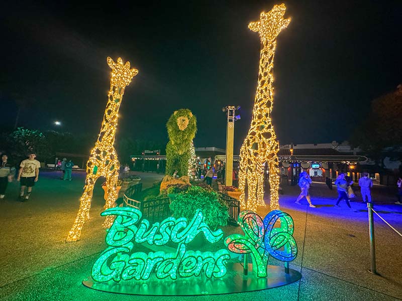 Busch Gardens Christmas Town - Giraffes