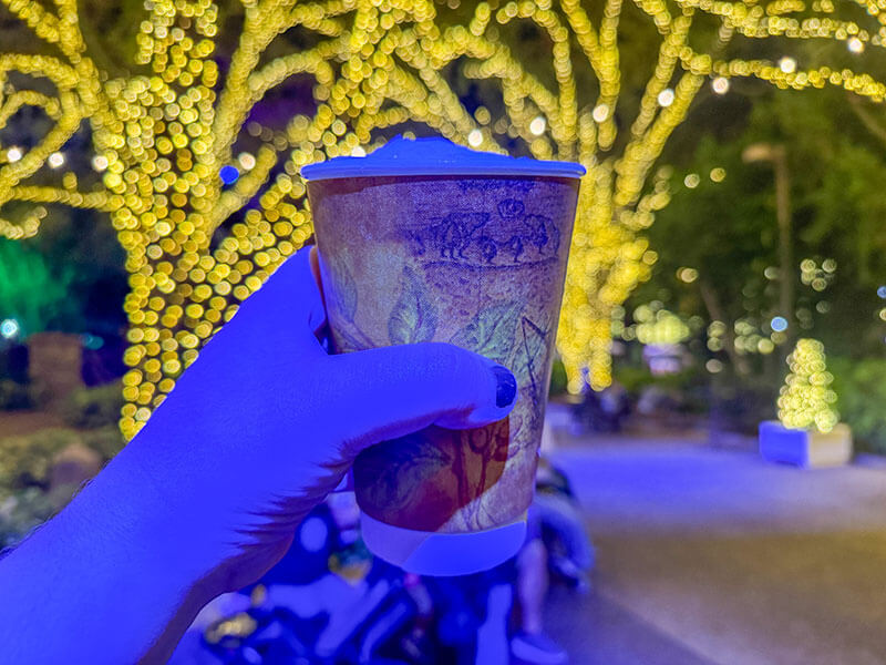 Busch Gardens Christmas Town - Hot Cocoa