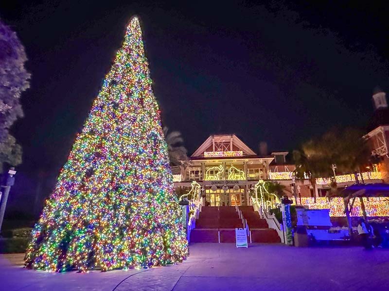 Busch Gardens Christmas Town - Serengeti Light Show