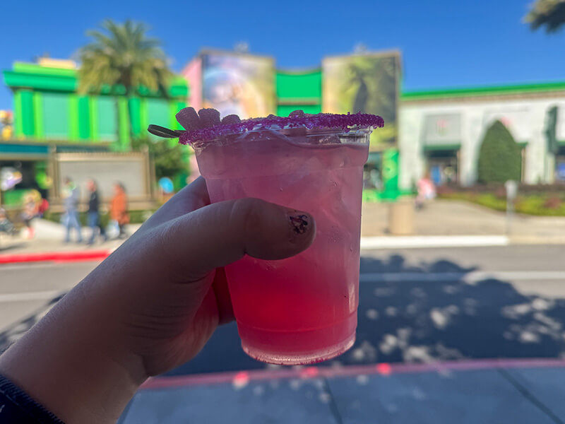 Wicked Experiences Universal - Popular Potion
