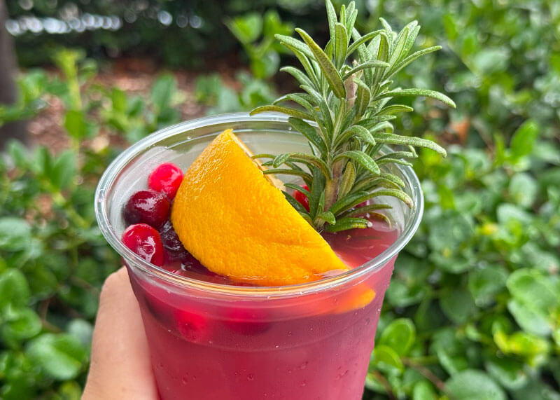 All the Holiday Sweet Treats & Foods at Disneyland Theme Parks - Holiday Punch at Galactic Grill