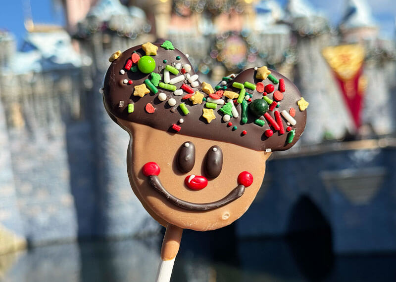 Disneyland Holiday Treats - Gingerbread Marshmallow pop
