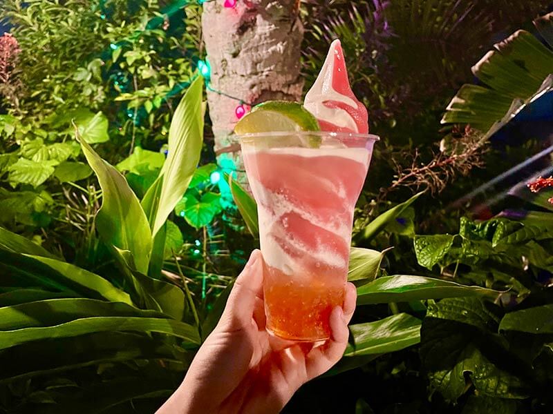 Mickey's Very Merry Christmas Party Food - Pomegranate Yule Float