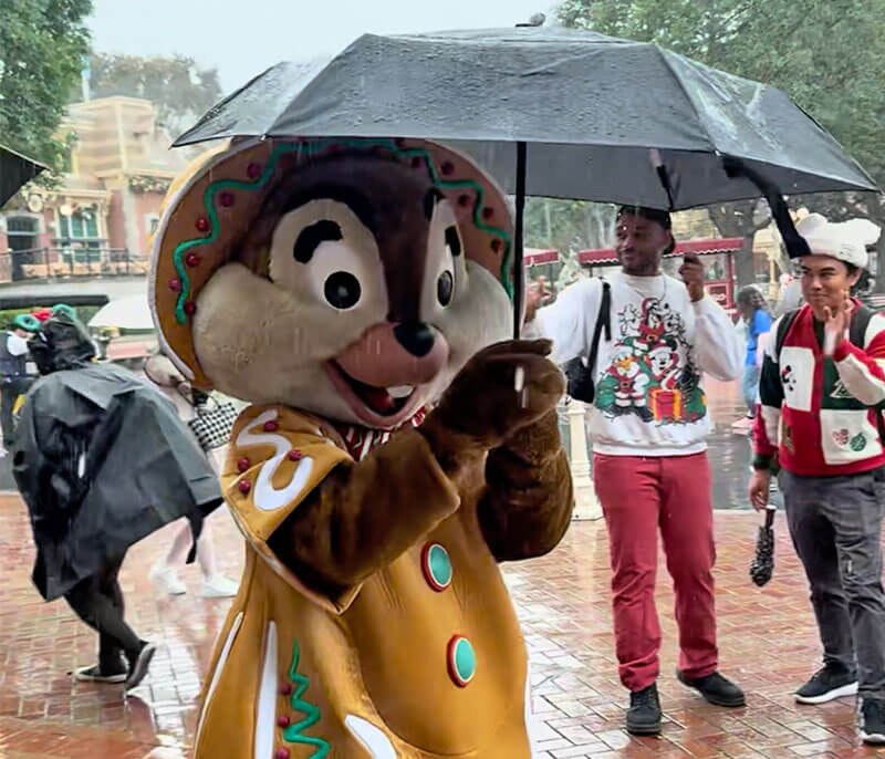 Disneyland Rainy Day Tips - Chip with umbrella