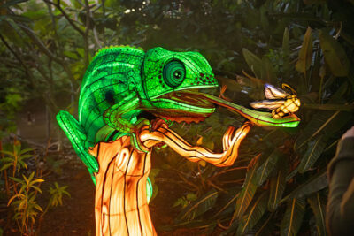 Our Enlightening Guide to Illuminate at Aquatica Orlando