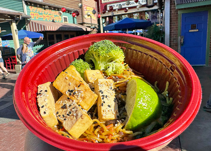 Spectacular Food Items in San Fransokyo Square at Disneyland - Plant-Based Ramen