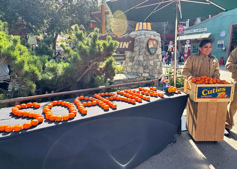 The Secret History of Disney Rides: Soarin' - Cuties Mandarins