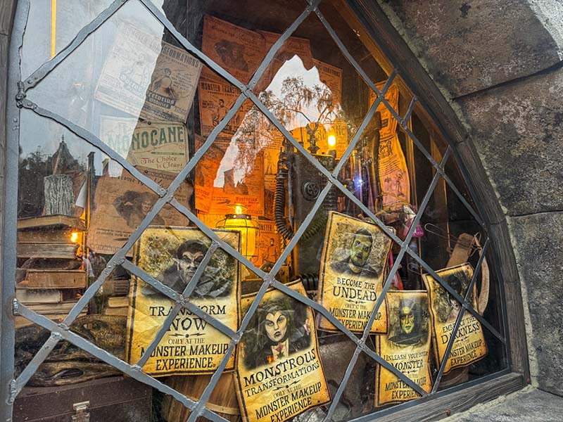 Universal Dark Universe - Window