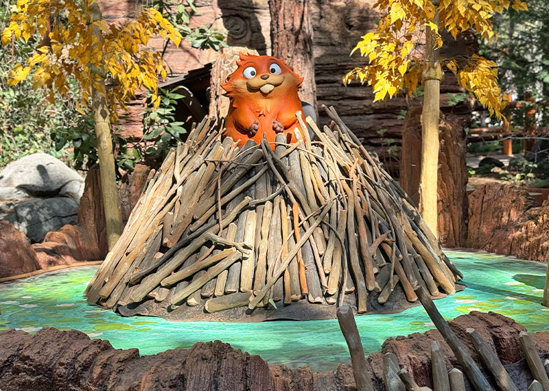 Taking Elementary-Aged Kids to Disneyland - Beaver photo spot