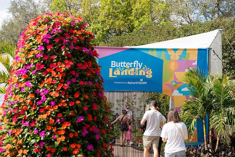 epcot flower and garden festival 2026 - Butterfly Landing