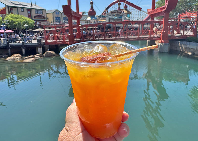 Disney California Adventure Food and Wine Festival Menus - CA punch