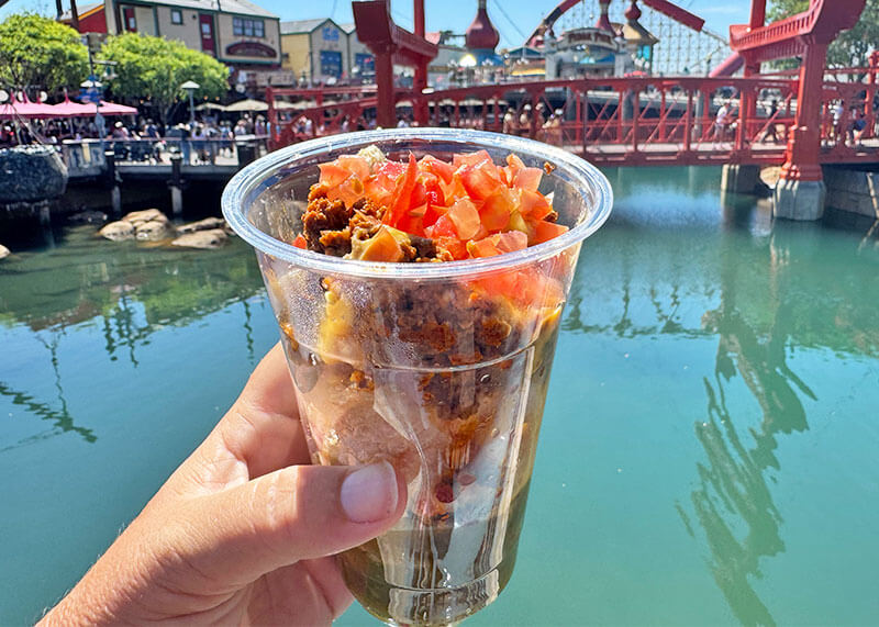 Disney California Adventure Food and Wine Festival Menus - Chicharron nachos
