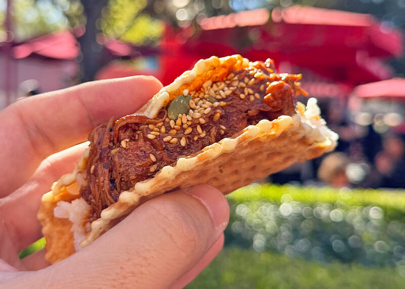 Disney California Adventure Food and Wine Festival Menus - Mole taco