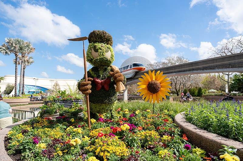 EPCOT Festivals - Donald Duck topiary at Flower & Garden Festival