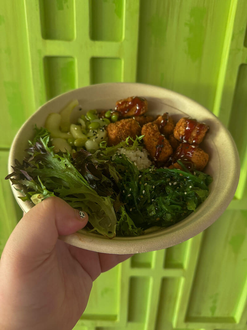 Volcano Bay - Chick'n Katsu Bowl