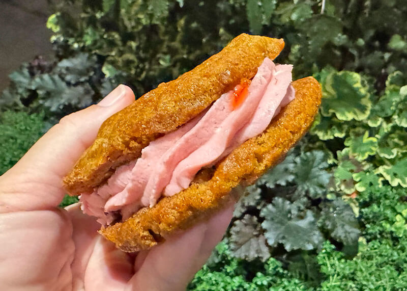 All the Details About Disney Channel Nite at Disneyland - PB cookie sandwich