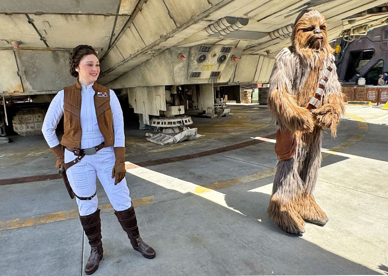 Star Wars- Galaxy' s Edge - Leia and Chewbacca
