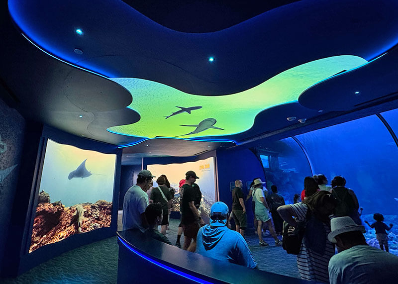 SeaWorld San Diego Shark Encounter conclusion screens