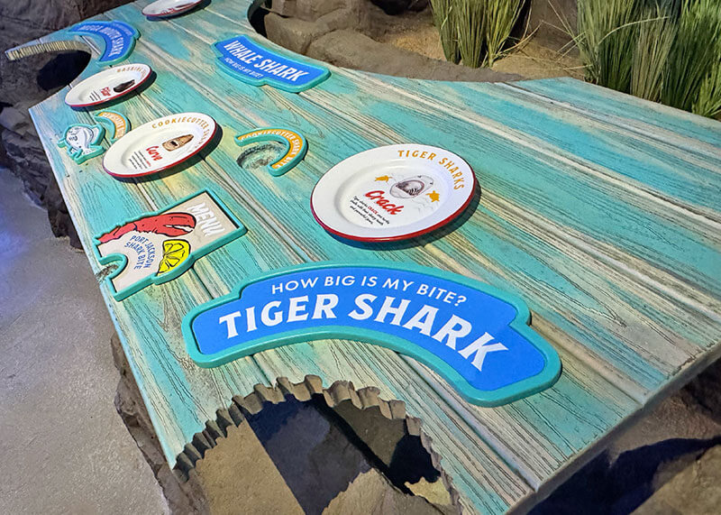 SeaWorld San Diego shark bites