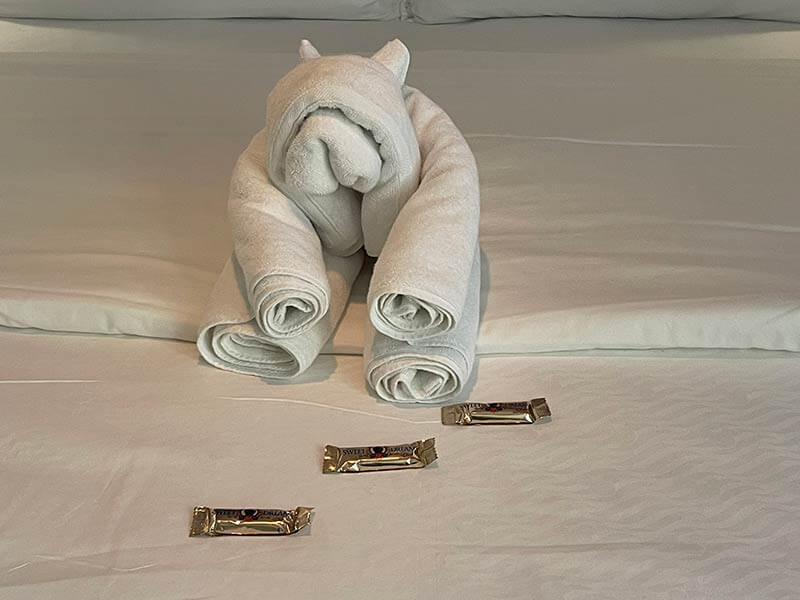 Disney Destiny Staterooms - Towel Animal