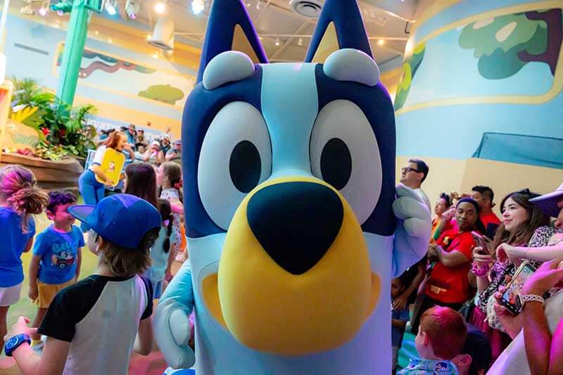Bluey's Wild World at Disney World