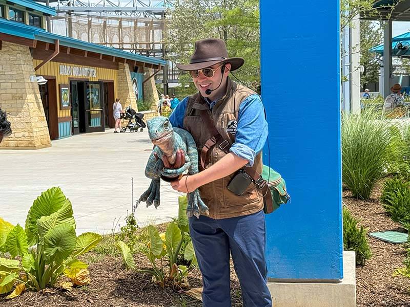 Baby Raptor at Jurassic World Adventure Camp