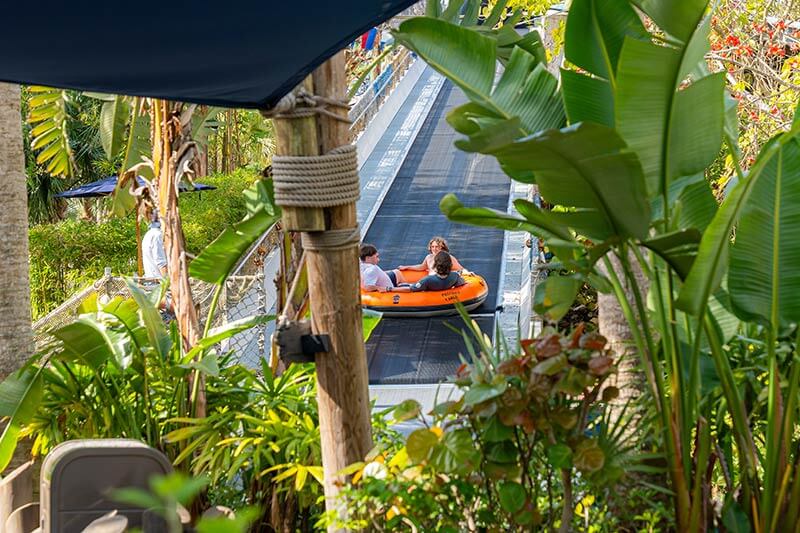Miss Adventure Falls at Disney's Typhoon Lagoon