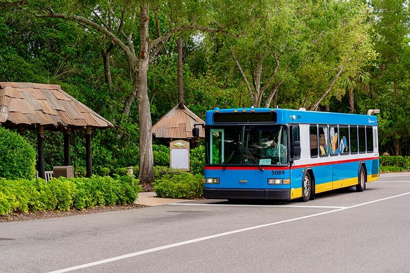 Disney World Resort bus transportation at Typhoon Lagoon.
