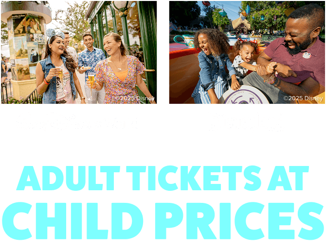 1 Day Disney s Hollywood Studios Theme Park Base Ticket Disney World 