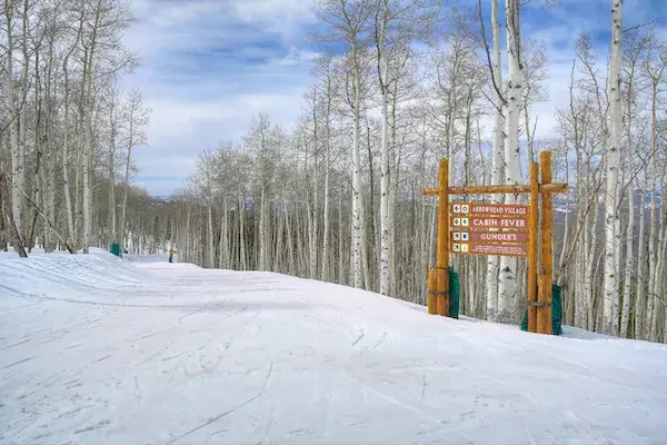 Bachelor Gulch