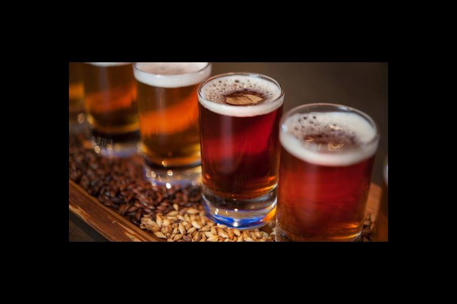 Bayside Brews