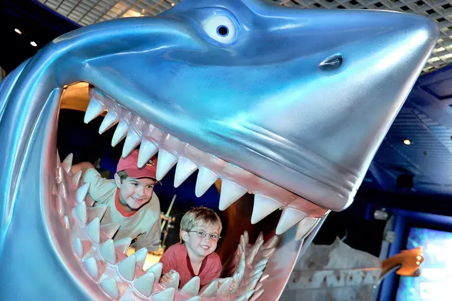 Bruce's Shark World